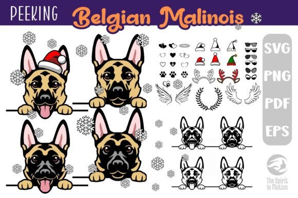 Download Belgian Malinois SVG, Clipart &amp; Cutfiles - Cutfiles Collection